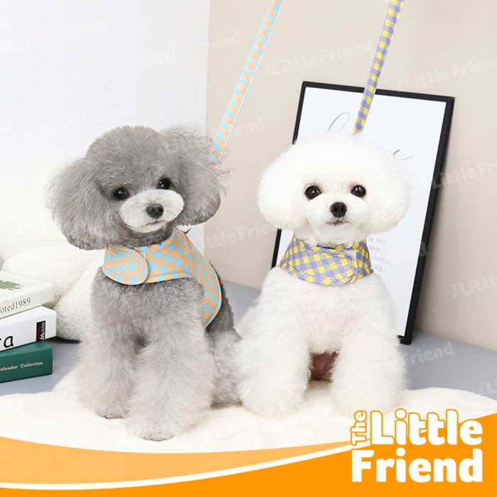 Leash Harness Set Baju Anjing Kucing Plaid Bear Cross Border Proxy