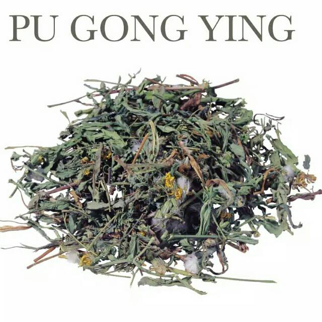 

1KG 1 KG 1000 G GR GRAM TEH DANDELION HERBAL TEA PU GONG YING