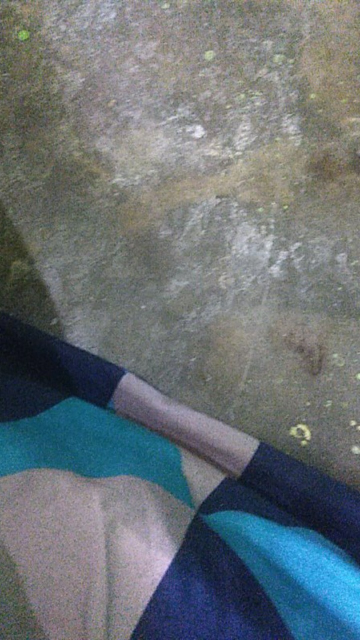 Batik Ipnu Ippnu Resmi Nasional