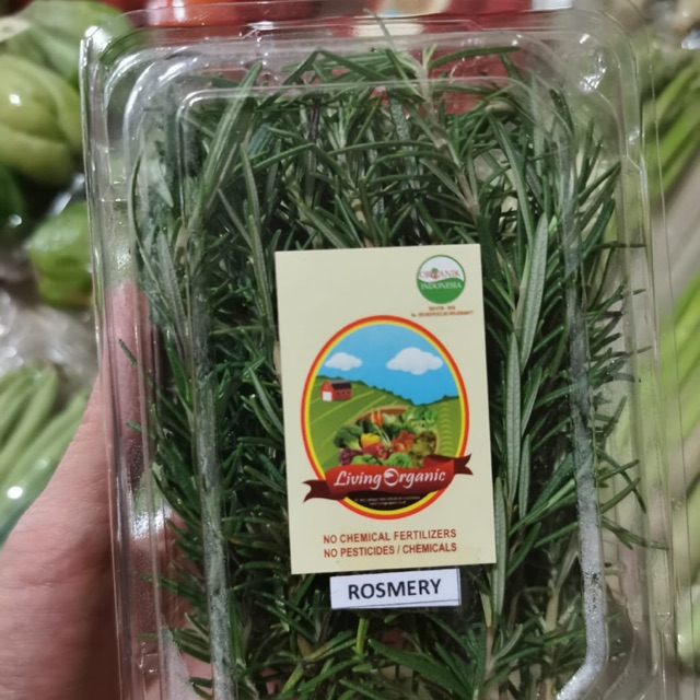

Rosemary Organik 50 Gr