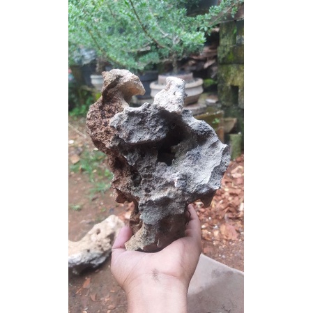 batu karang gunung realpict