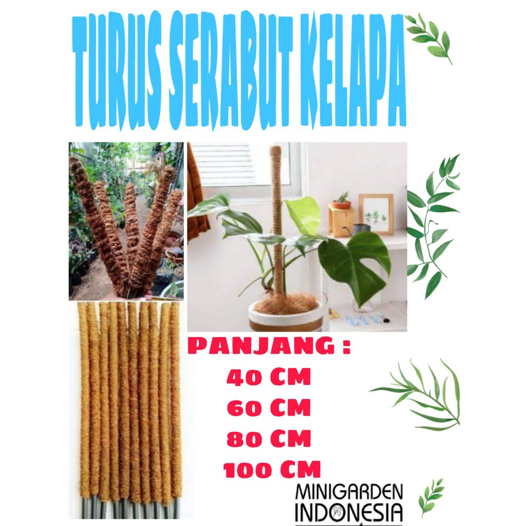 TURUS PENYANGGA TANAMAN RAMBAT turus serabut kelapa tiang rambatan stik lanjaran 40 cm 60 cm 80 cm