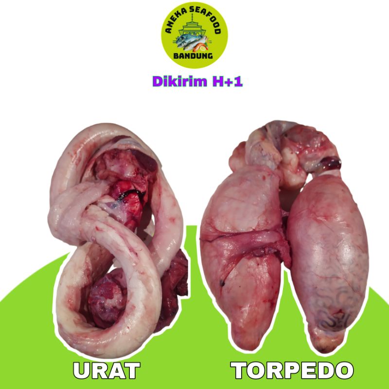 

Torpedo Sapi / Urat Torpedo Sapi Segar 1Kg