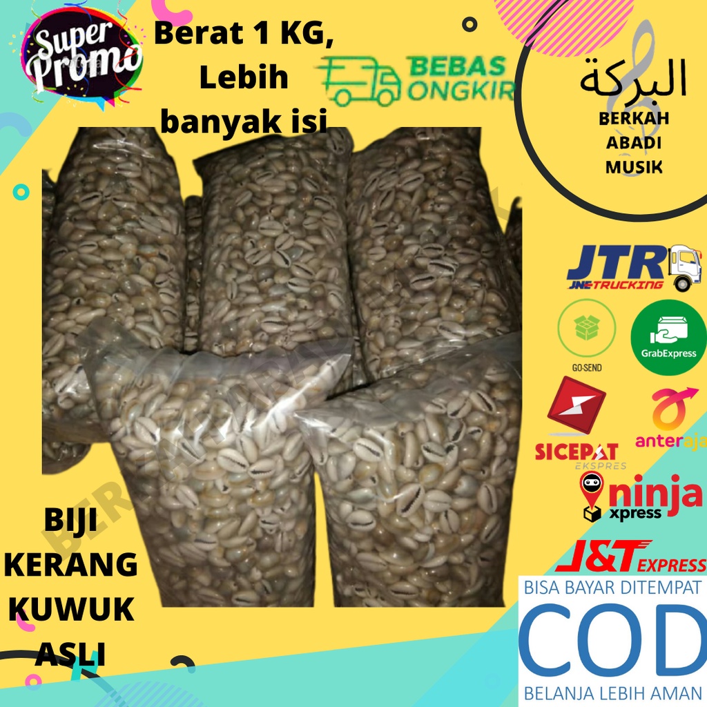 biji dakon biji congklak kerang asli biji kuwuk 1 kilogram 1 KG biji dakon kerang biji dakon kuwuk b