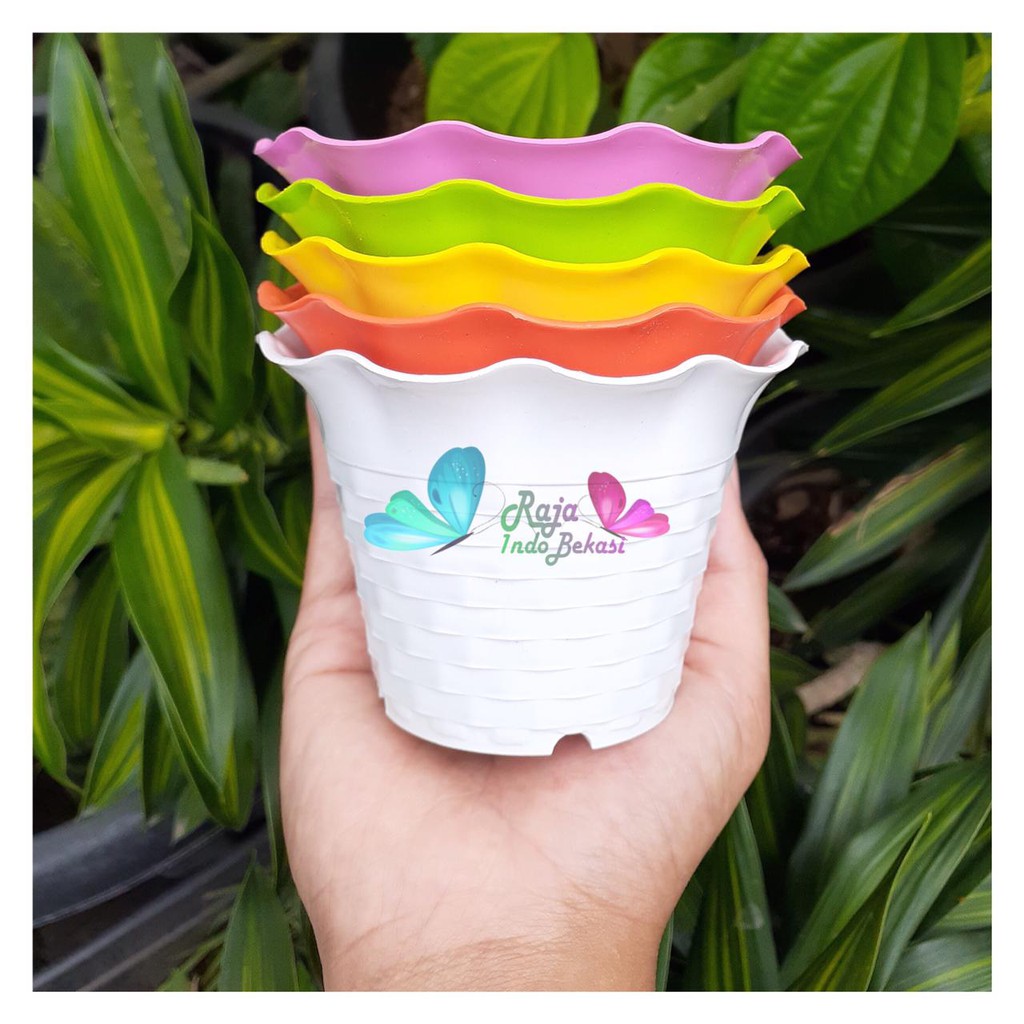 Pot Sun Flower Mdn 10 Cm Motif Bata Pot Bunga Sunflower Warna Warni - Pot Kaktus cactus Mini Lucu