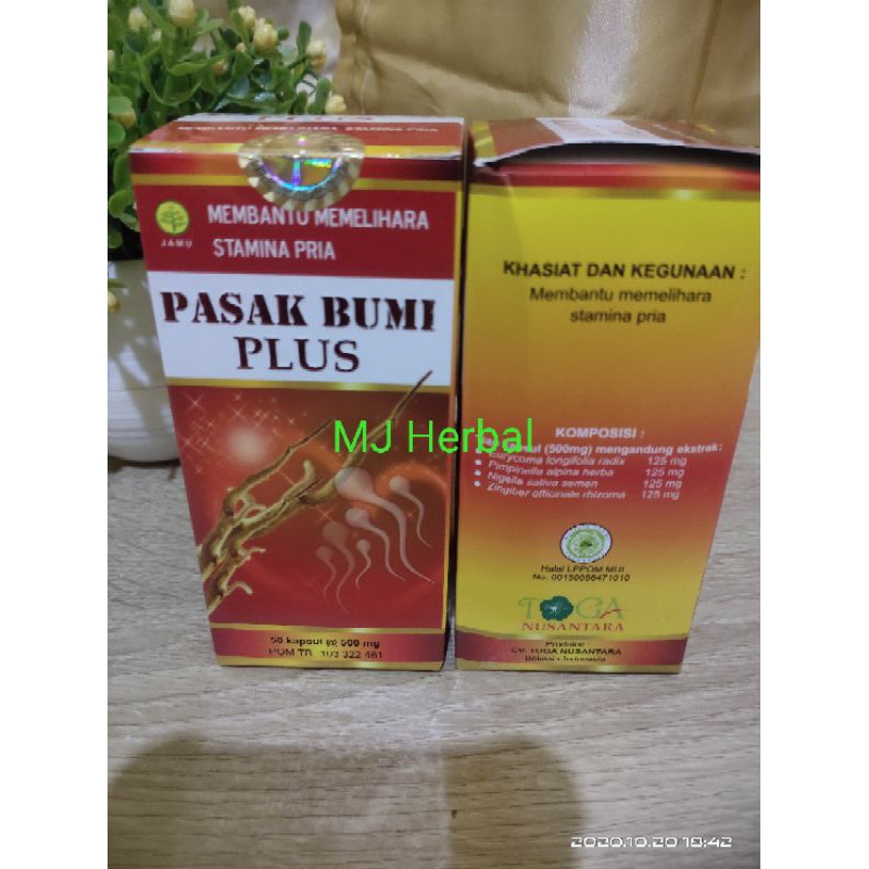 Kapsul Pasak Bumi Plus Toga Nusantara