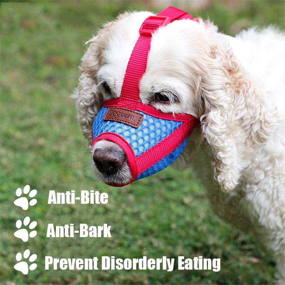 Solighter Anjing Moncong Upgrade Drinkable Adjustable Anti-lick