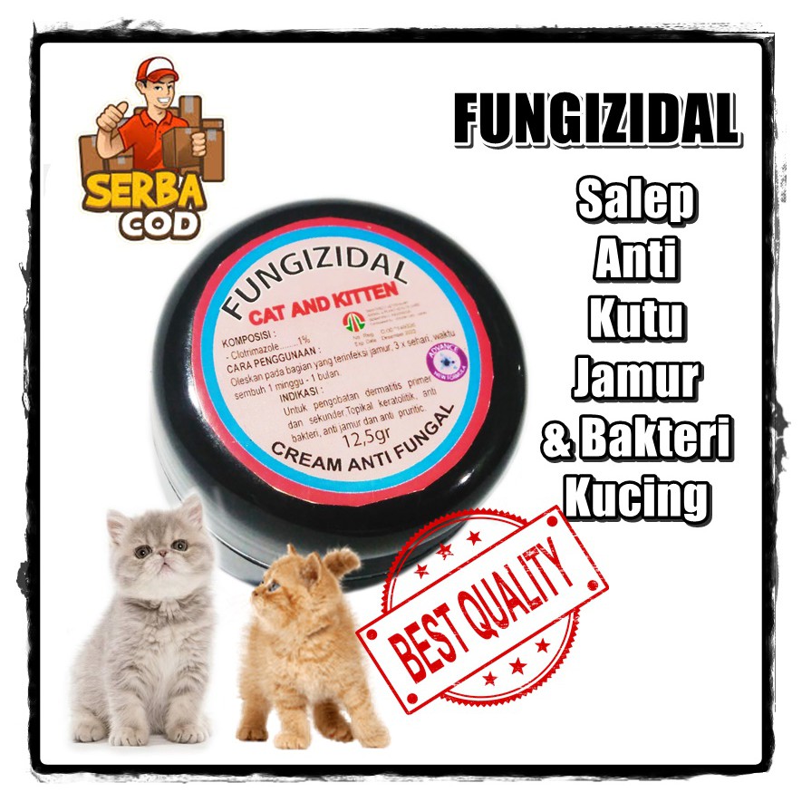 SALEP FUNGIZIDAL CREAM OBAT JAMUR KUCING SAKIT KORENGAN KITTEN SCABIES