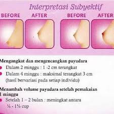 VIENNA Herbal Breast Cream Krim Pengencang Pembesar Payudara