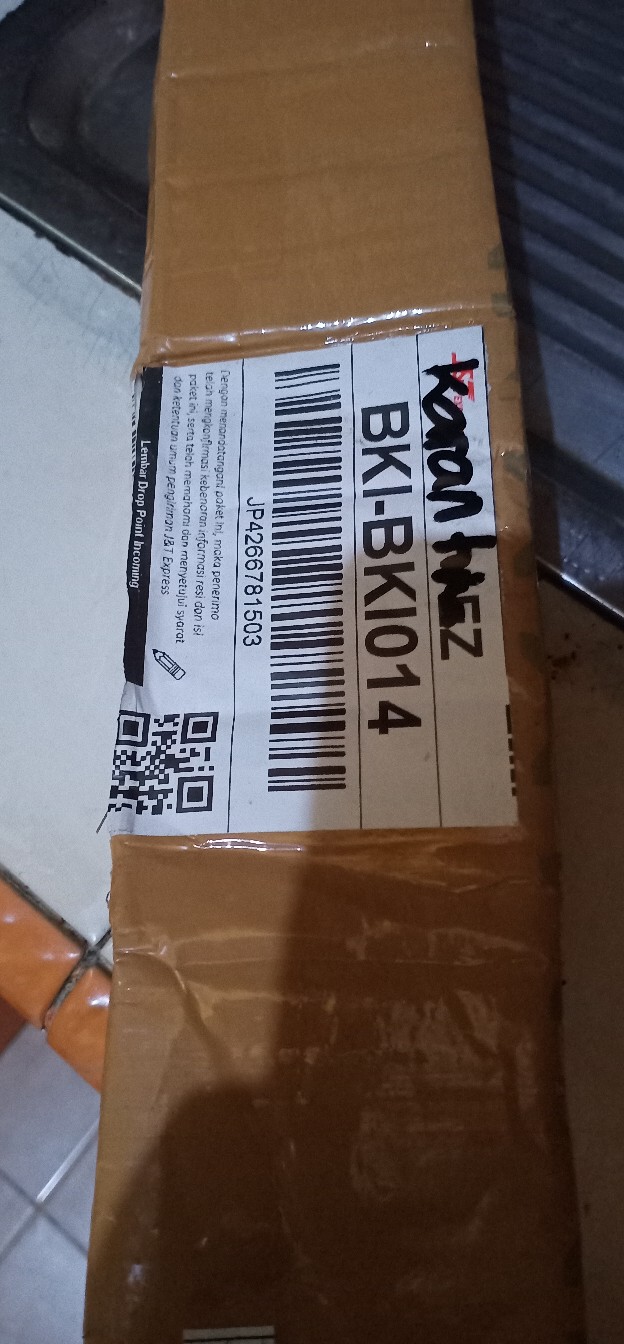 Caladium Ace Of Heart / Bibit Keladi Ace Of Heart Dikirim Anakan