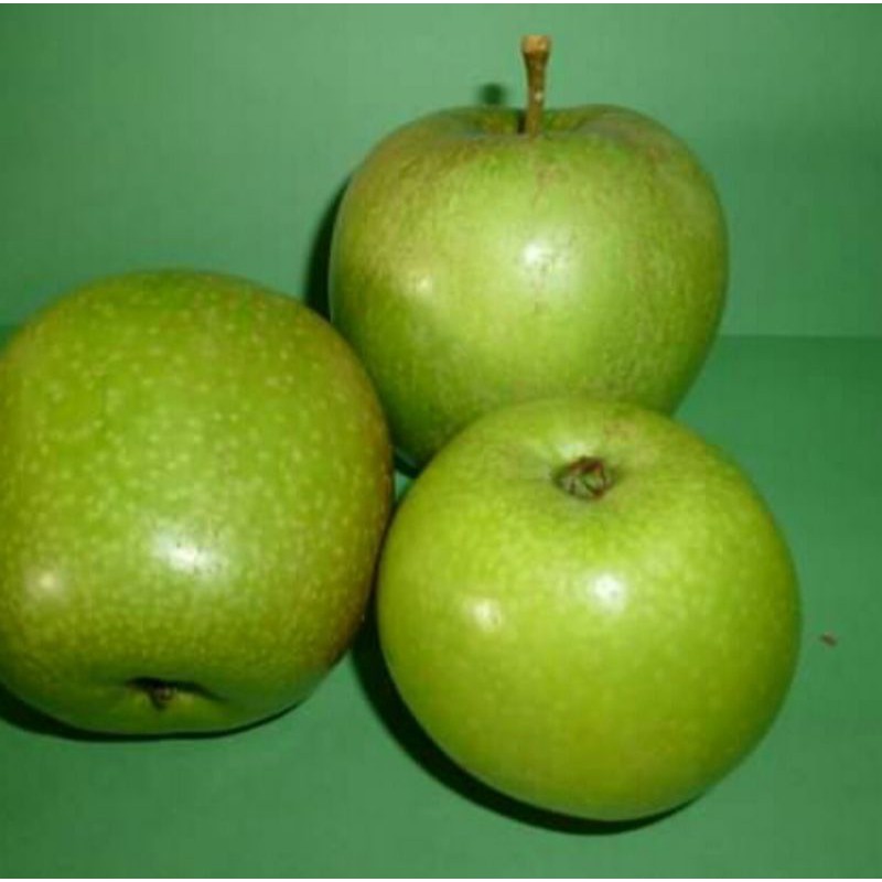 buah apel granny smith/ apel hijau fresh 1 kg