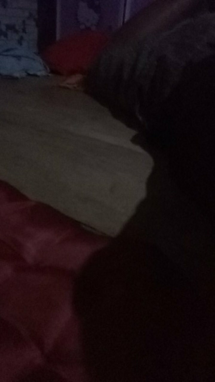 Kemeja Pria Lengan Pendek Motif