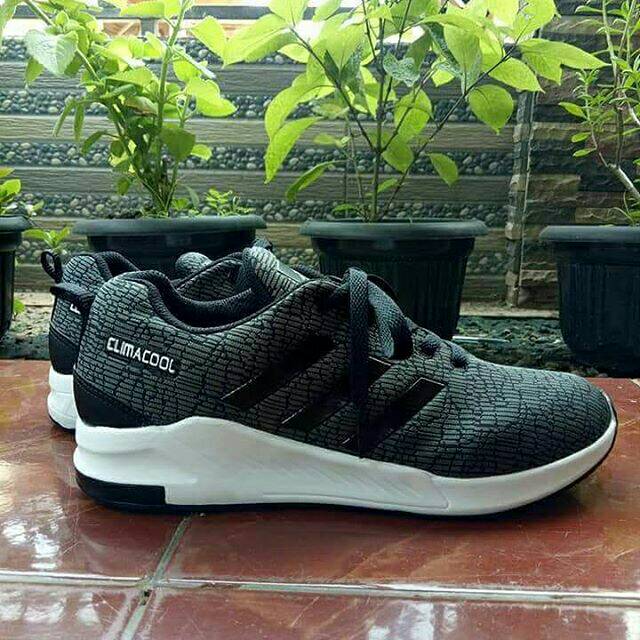 Adidas climacool