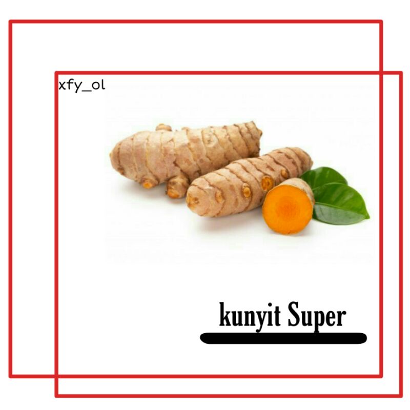 

Kunyit Super Murahh 1Kg