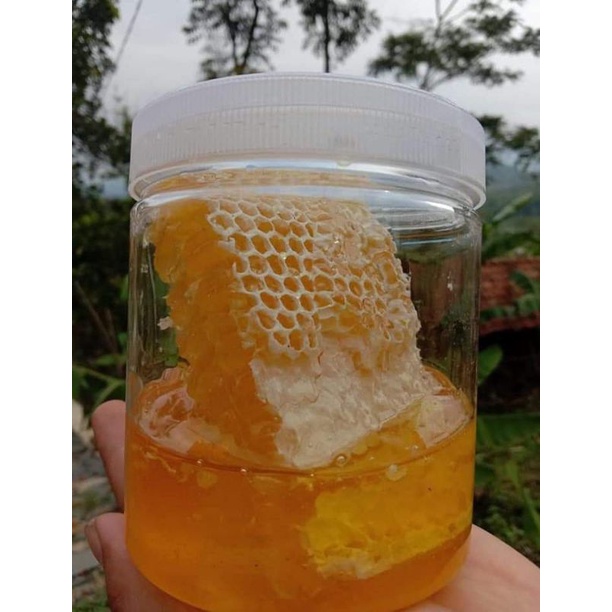 

madu sarang hutan original