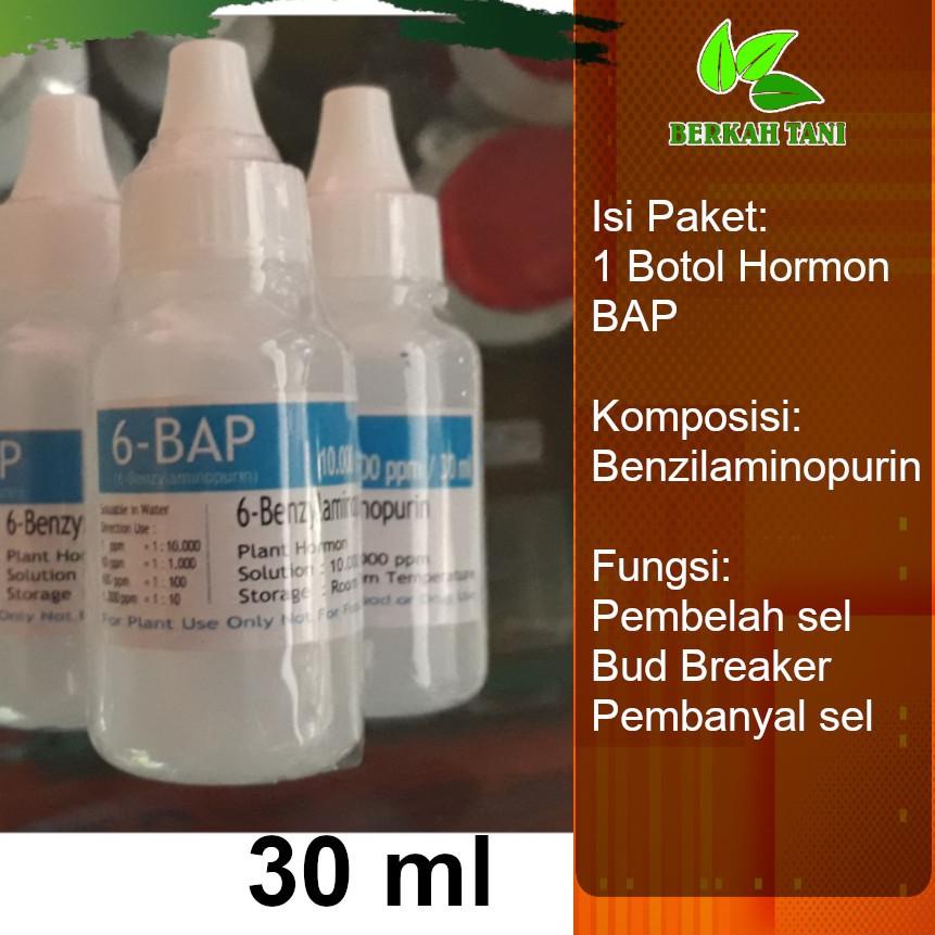 [ORIGINAL] Hormon BAP 30 ml Bud Breaker Penumbuh Bunga Anggrek produck terbaik