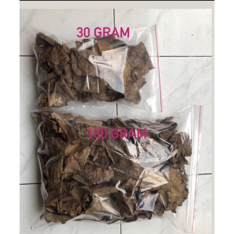 

Daun Ketapang Tanpa Tulang 30gram