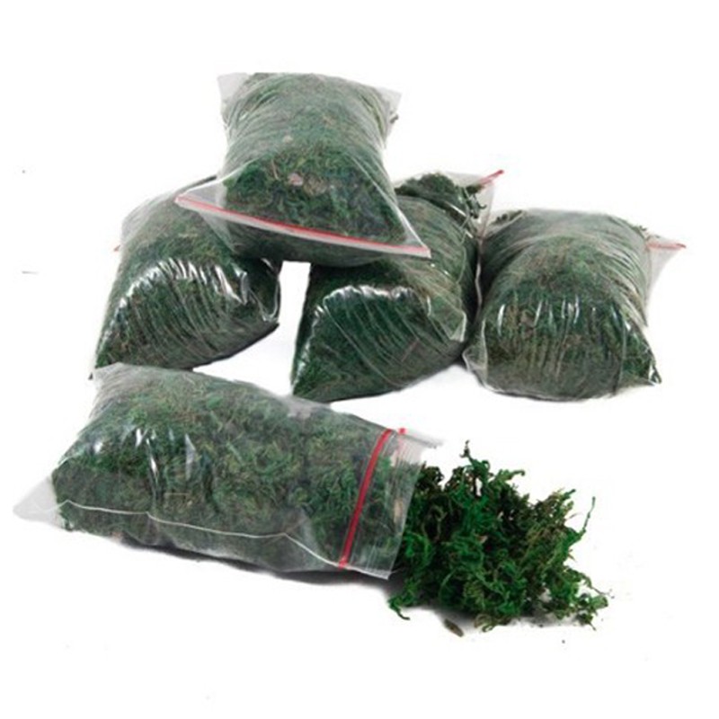 Lumut Kering Untuk Tanaman Hias Palsu 10gr/Lumut Artificial/Green Dry Moss AH0036
