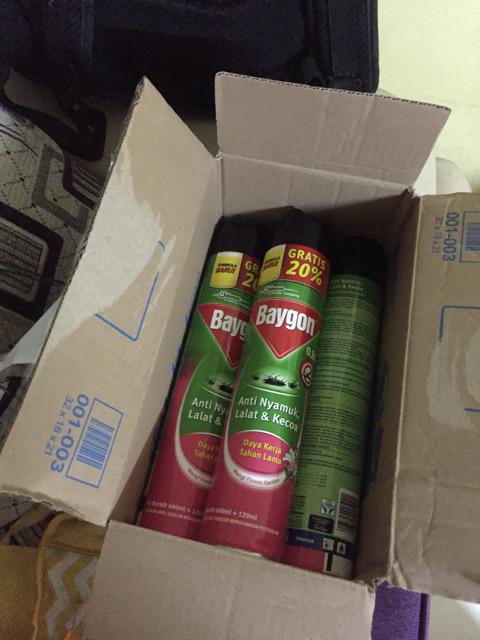 Baygon Insektisida Flower Garden 600ml + 75ml Khusus Gosend/grabsend