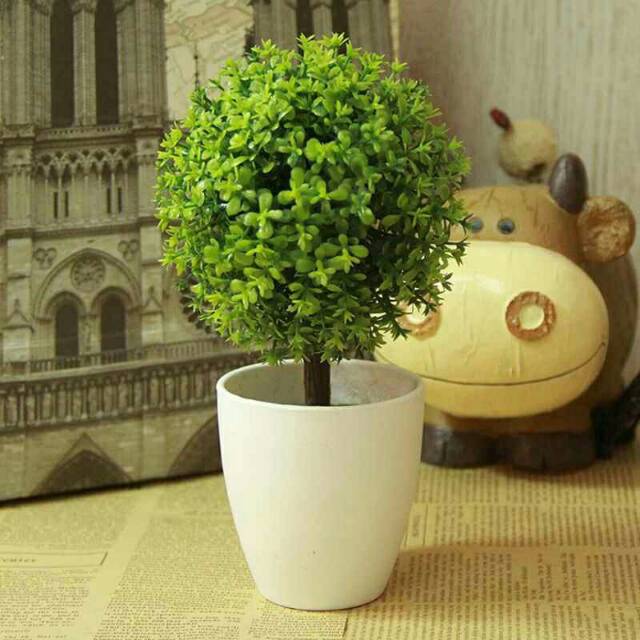 Sale promo Bonsai pink/hijau/ungu/kuning/putih