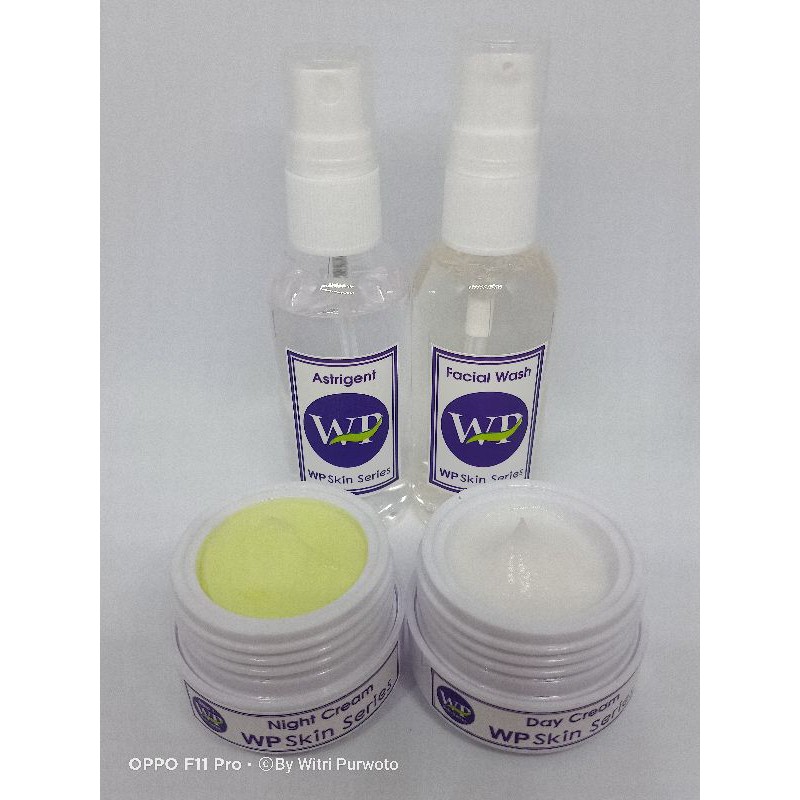 Wp skin series step 2