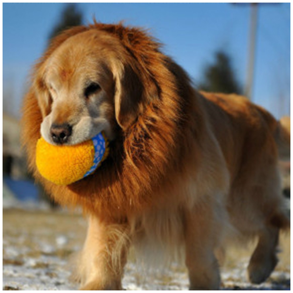 Wig Rambut Palsu Model Singa Untuk Anjing Peliharaan Shopee