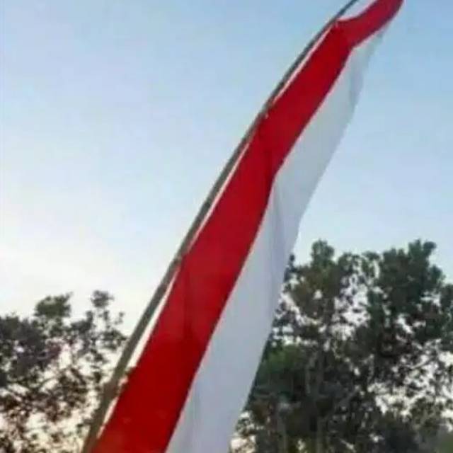 Umbul umbul layur merah putih panjang -+4m