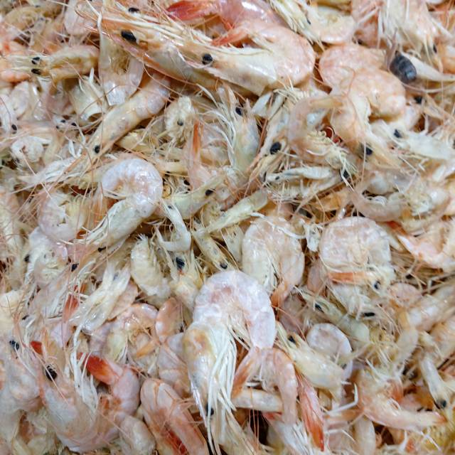 

Ikan udang manis 95 rb/kg