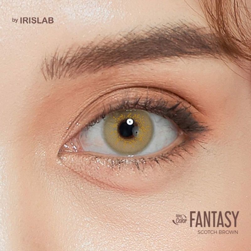 Softlens LIVING COLOR FANTASY 14.4 MM SCOTCH BROWN MINUS -0.50 S.D -6.00 by IRISLAB