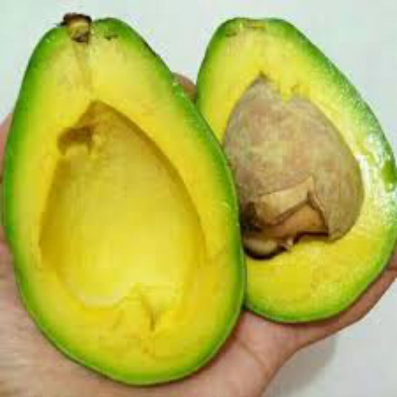 

alpukat mentega terbaik jawa per 1 kg