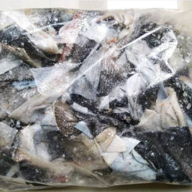 SALMON SKIN Kulit Ikan Salmon 500 g