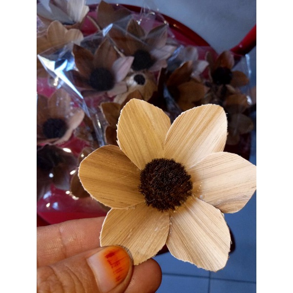 bunga kering debok pisang