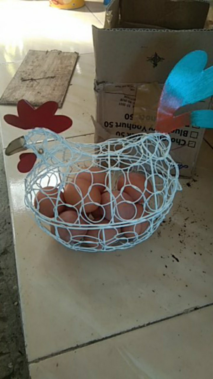 Keranjang Telur Model Ayam Xl  (ukuran M/l/xxl  Bisa Diorder Di Etalase Yg Berbeda)