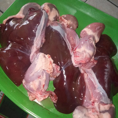 

Hati kambing muda 1kg dijamin fresh segar