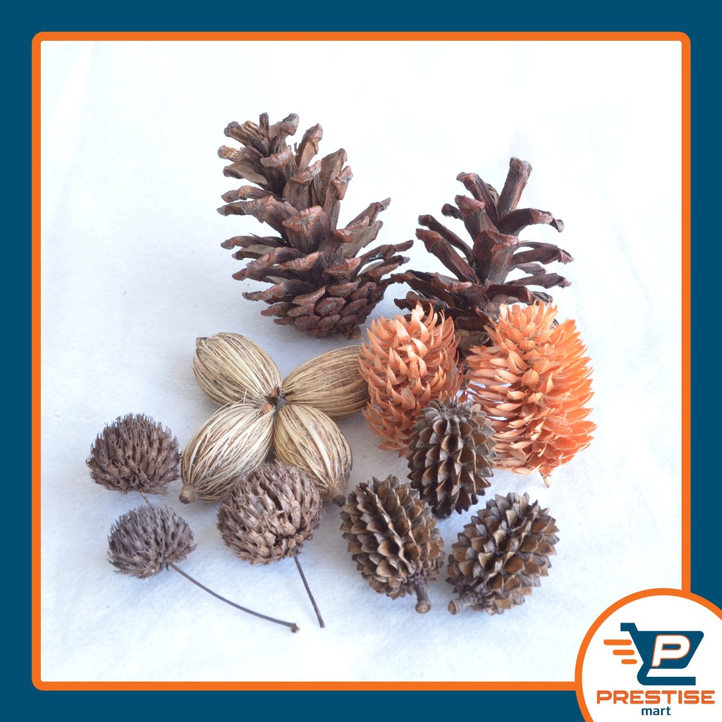 BUNGA BIJI KERING / Hiasan Parcel Hampers Souvenir Rustic Foto produk Vintage Hantaran