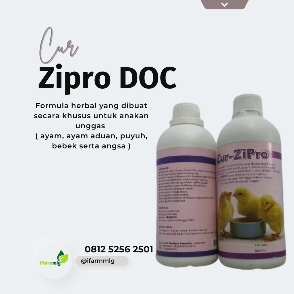 Curzipro DOC 500ml – Mencegah dan Mengatasi Snot Unggas -  Antibiotik DOC Ayam Bebek Itik Puyuh – An