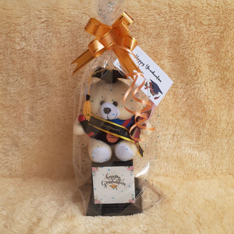 PIALA BONEKA WISUDA TEDY BEAR Tinggi 25 cm