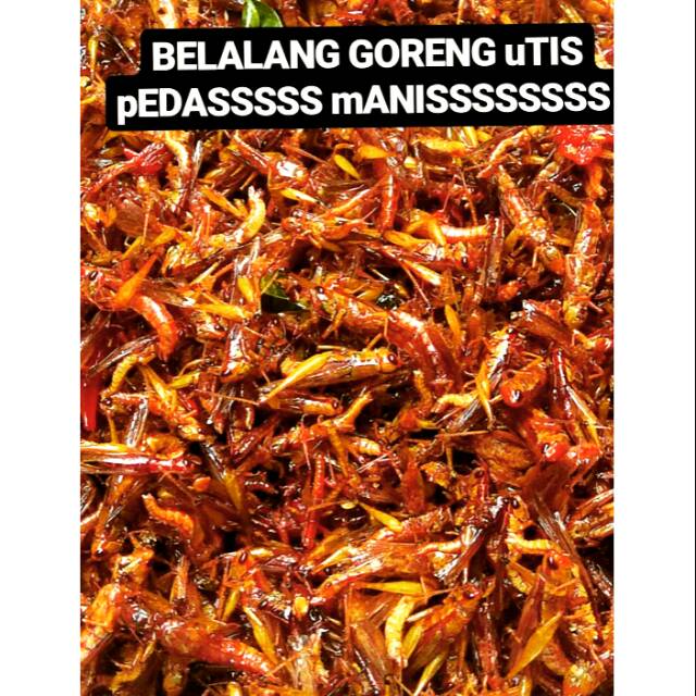 

BELALANG GORENG UTIS PEDASSSSS MANISSSSSSSS bikinan mama silvia