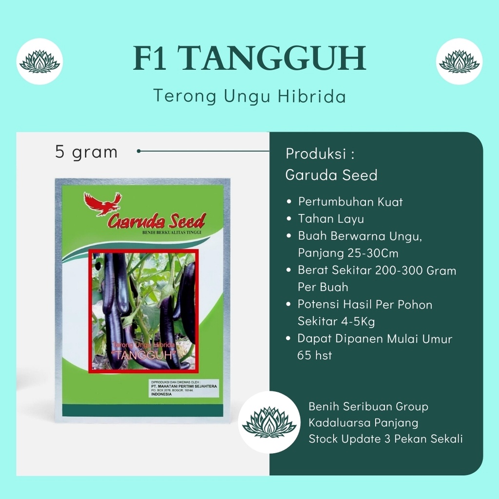 5 Gram Bibit Terong Ungu Panjang Hibrida TANGGUH F1 5gr Benih Sayuran Unggul Tanaman Sayur Buah Panj