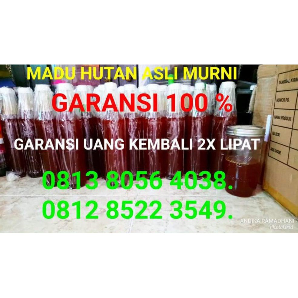 

Hot! Madu Hutan Asli Murni