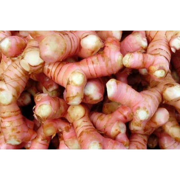 

Lengkuas asli langsung petani