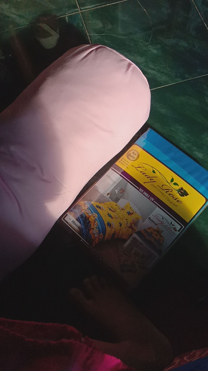 Sprei Lady Rose Single Ukuran 120x200 No 3 Karakter Anak Seprei Karet Adem Murah - Ijn Plaza