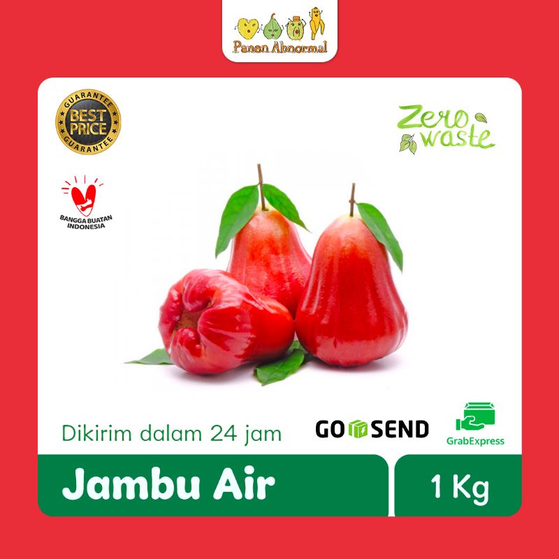 

Jambu Air Panen Abnormal per KG