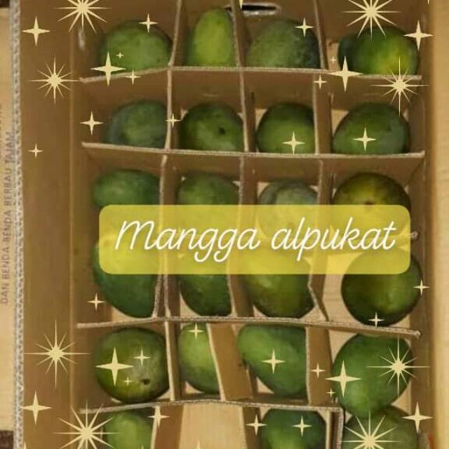 

Mangga alpukat