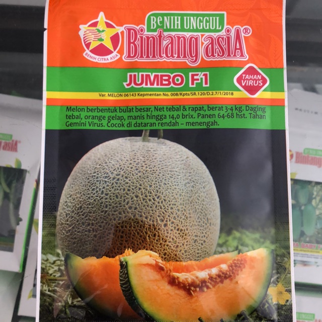 Benih Melon Jumbo F1 Cap Bintang Asia