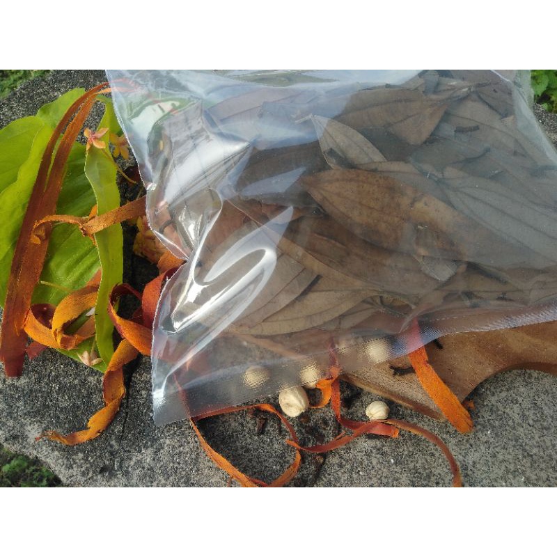 

Daun Kayu Manis Kasiavera Cinnamon