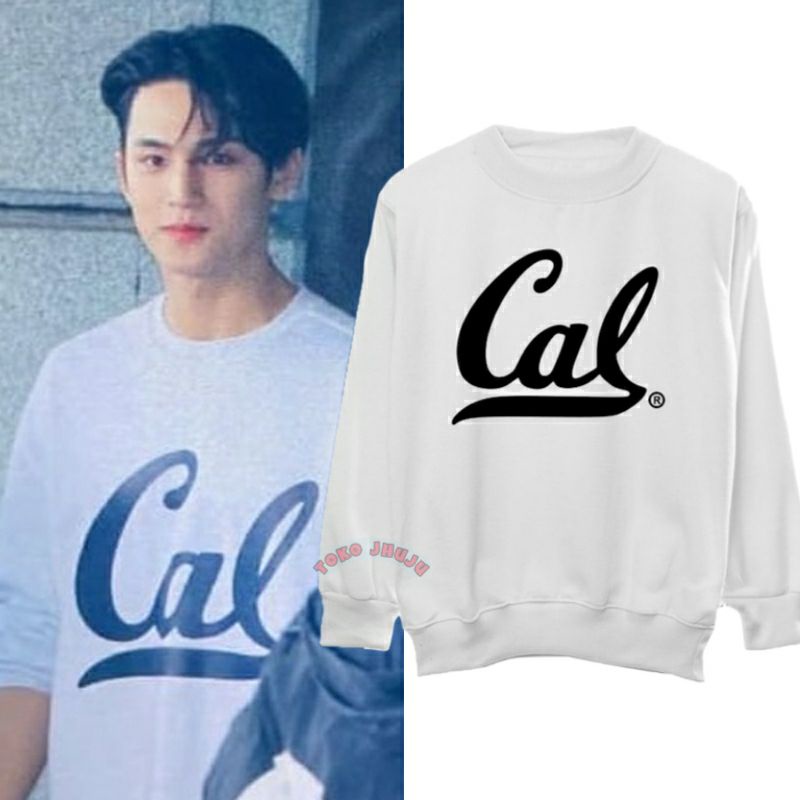 Basic Sweater Mingyu CAL besar