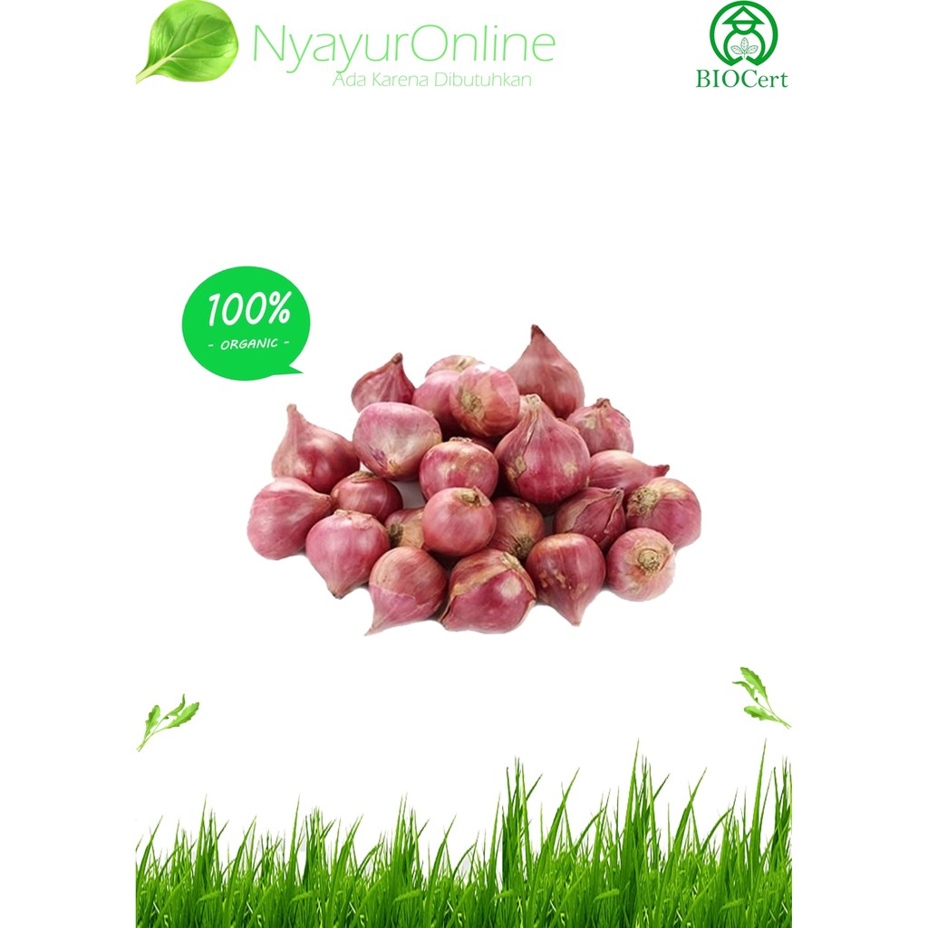 

Sayuran Bawang Merah Organik 250 gram