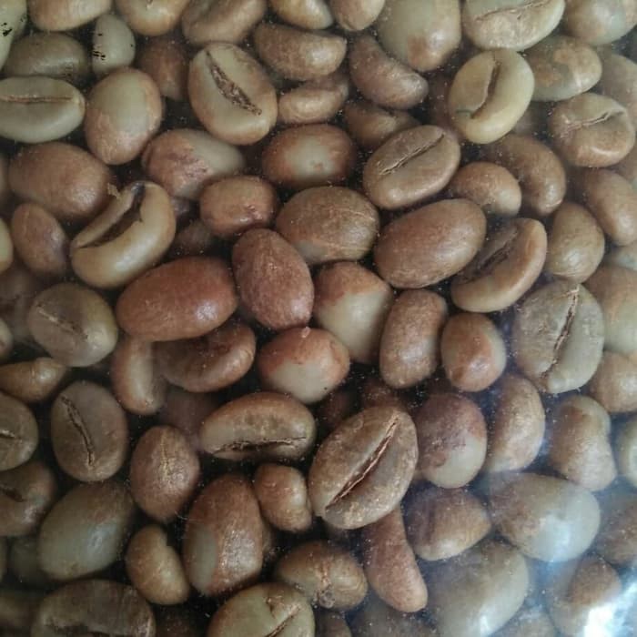 

kopi Robusta biji greenbeen 1kg
