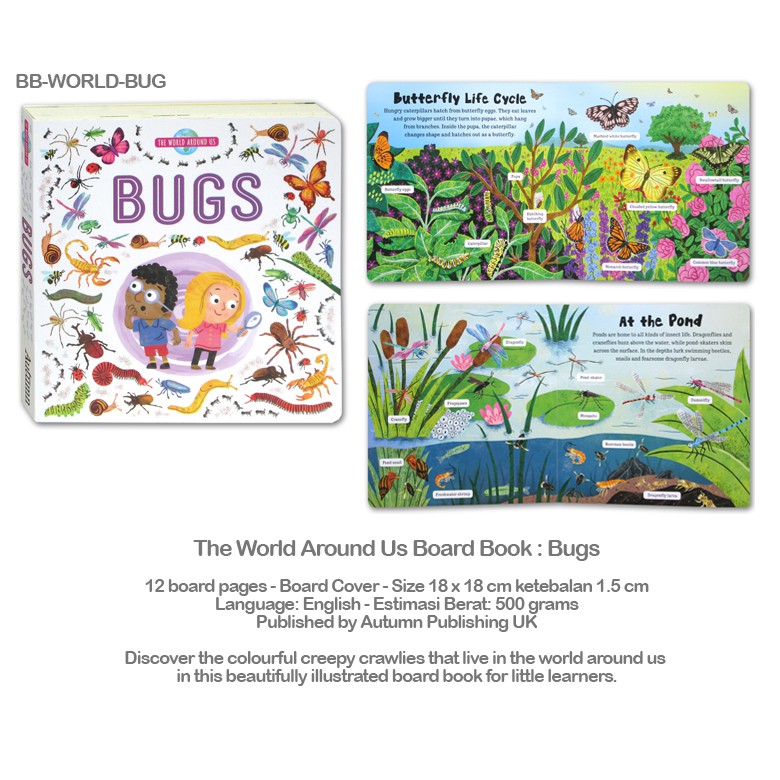 Buku Import Anak Murah The World Around Us Board Book : Bugs